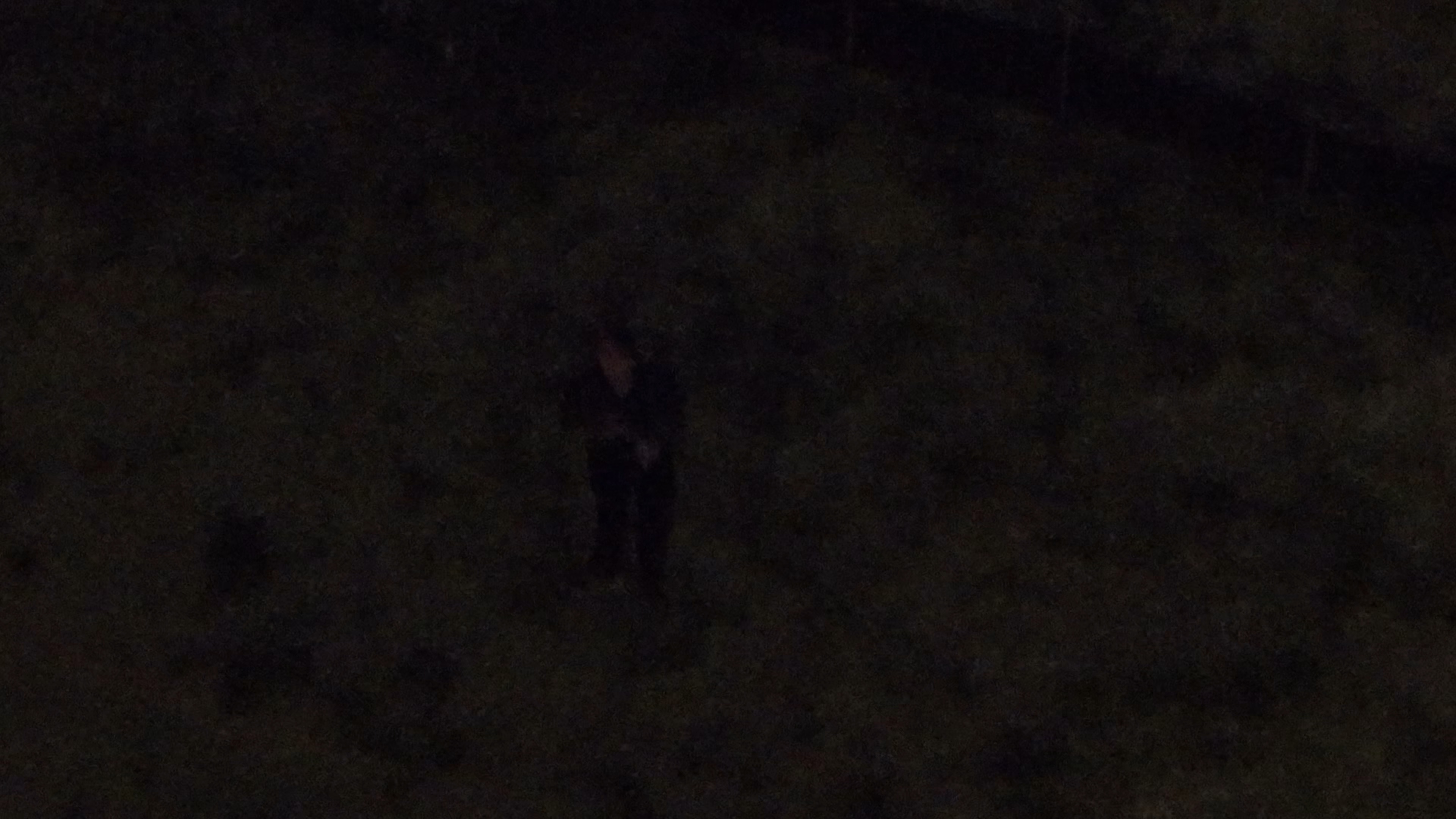Search and rescue aerial visual view